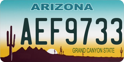 AZ license plate AEF9733