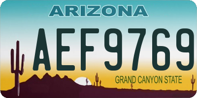 AZ license plate AEF9769