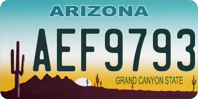 AZ license plate AEF9793