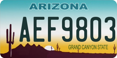 AZ license plate AEF9803