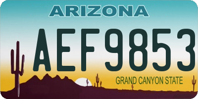 AZ license plate AEF9853