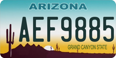 AZ license plate AEF9885