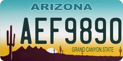 AZ license plate AEF9890