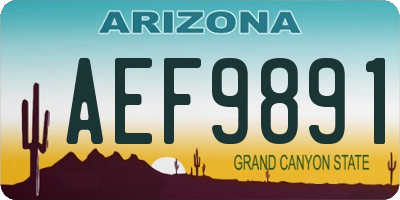 AZ license plate AEF9891