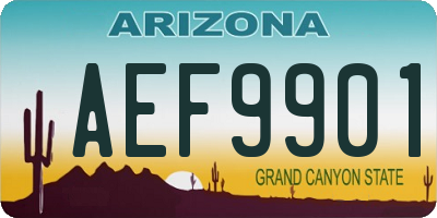 AZ license plate AEF9901