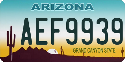 AZ license plate AEF9939