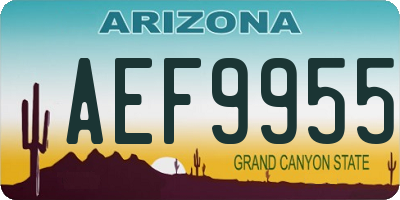 AZ license plate AEF9955