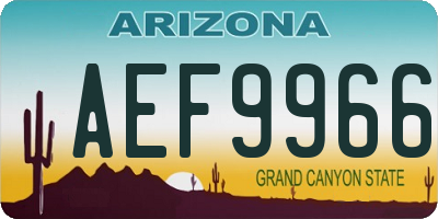 AZ license plate AEF9966