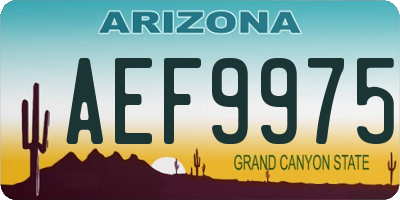 AZ license plate AEF9975