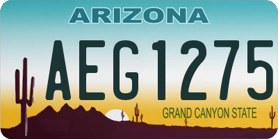 AZ license plate AEG1275