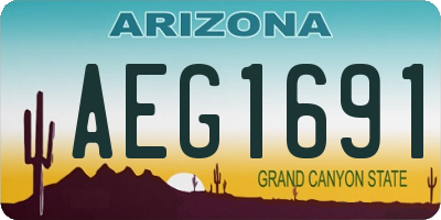 AZ license plate AEG1691