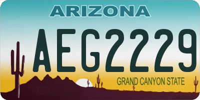 AZ license plate AEG2229