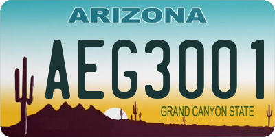 AZ license plate AEG3001