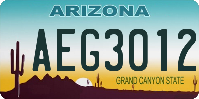 AZ license plate AEG3012