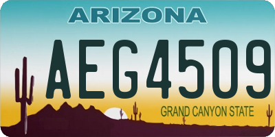 AZ license plate AEG4509
