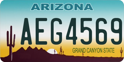 AZ license plate AEG4569