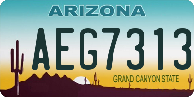 AZ license plate AEG7313