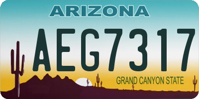 AZ license plate AEG7317