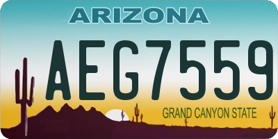 AZ license plate AEG7559