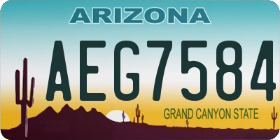 AZ license plate AEG7584