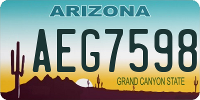 AZ license plate AEG7598