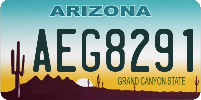 AZ license plate AEG8291