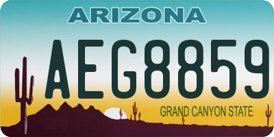 AZ license plate AEG8859
