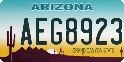 AZ license plate AEG8923