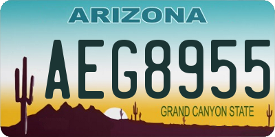 AZ license plate AEG8955