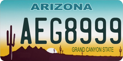 AZ license plate AEG8999