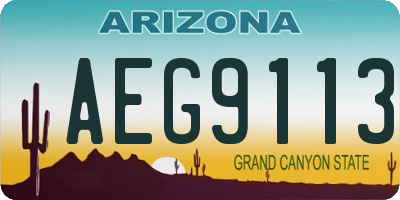 AZ license plate AEG9113