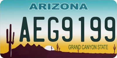 AZ license plate AEG9199