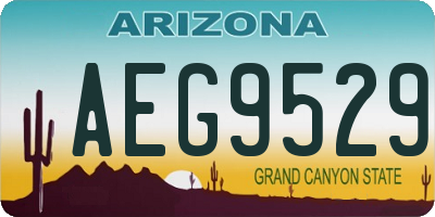 AZ license plate AEG9529
