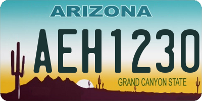 AZ license plate AEH1230