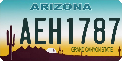 AZ license plate AEH1787