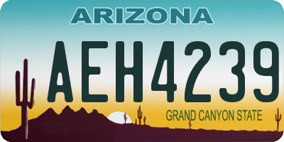 AZ license plate AEH4239