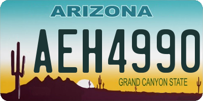 AZ license plate AEH4990
