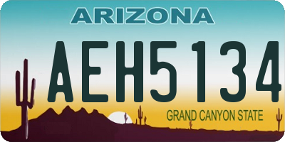 AZ license plate AEH5134
