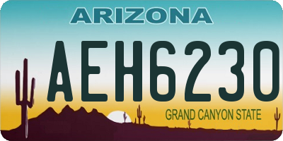 AZ license plate AEH6230