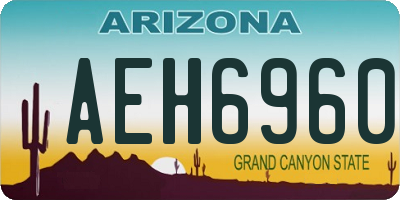 AZ license plate AEH6960