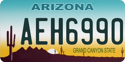 AZ license plate AEH6990