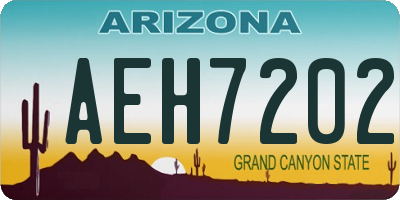 AZ license plate AEH7202
