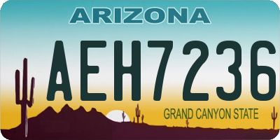 AZ license plate AEH7236