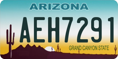 AZ license plate AEH7291