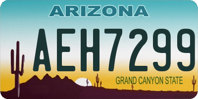 AZ license plate AEH7299