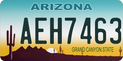 AZ license plate AEH7463