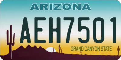 AZ license plate AEH7501