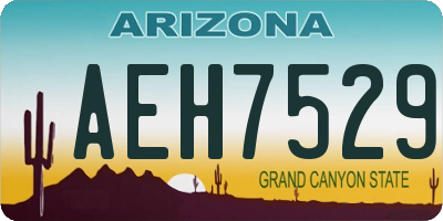 AZ license plate AEH7529