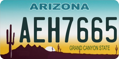 AZ license plate AEH7665