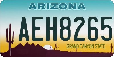 AZ license plate AEH8265
